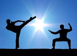 纽约洋基在 2017 年凭借“轰炸机少年”横扫联盟，贾吉以 52 轰刷新当时的新人纪录